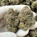 Máy chủ của gà con kaka Discord server icon