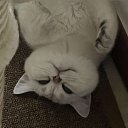 아무것도모르겟긔 Discord server icon