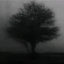 𝔗𝔥𝔢 ℌ𝔞𝔳𝔢𝔫 (Goatted)