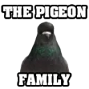 join discord.gg/yaprest