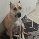 РЕЖОКТИРОВАГИЕ пиздец