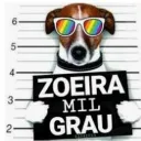 Caos organizado