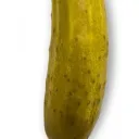 Pickle Palace Discord server icon