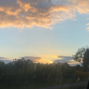 random shit Discord server icon