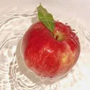 >⩊< │ NyApple Garden ⋆🐾°‼🧃🍎