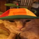TANG GANG