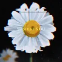 Yoshiki Nou`s