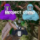 Project Comp
