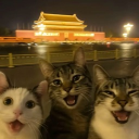 Hollow Discord server icon