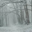 плаксы