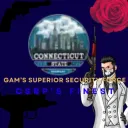 Gam's Superior Security Force
