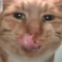 MR FRESH EMOTES