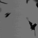 𝕿𝖍𝖊 𝕭𝖆𝖙 𝕳𝖔𝖑𝖑𝖔𝖜 /|\ ^._.^ /|\