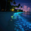 𝐂𝐚𝐬𝐭𝐚𝐰𝐚𝐲𝐬! Discord server icon