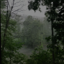 The Still Grove Discord server icon