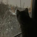 Snow's squad