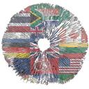 The Continental Canopy Discord Server Icon