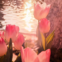 𝔢 𝔨𝔯𝔢𝔣𝔦 † Discord server icon