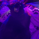 𝔽𝕒𝕟 𝕔𝕝𝕦𝕓 Discord server icon