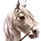 🏰┊Bannerlord S&MP v1.2.12.66233