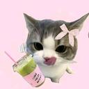 Meowcha Cafe Discord Server Icon