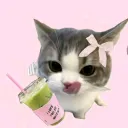 Meowcha Cafe