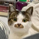 Stable thoughts Discord server icon