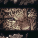 ☆ ☟ ᴏɴ ᴍʏ ʙʟᴏᴄᴋ ☟ ☆ Discord server icon