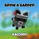 10 X raccoon GIVEWAY