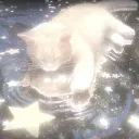 |꧁♡~𝖈𝖆𝖙'𝖘 𝖈𝖆𝖋𝖊 ~♡꧂|