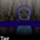 FOXY TAG COMP