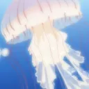 coral cafe