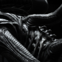 𝙰𝙻𝙸𝙴𝙽: 𝚃𝚁𝙾𝙶𝙴𝙽 - SCIFI ROLEPLAY Discord Server