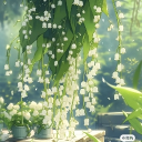 🌿 Whispering Canopy Discord server icon