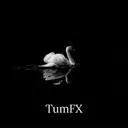 TumFX's Community