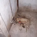 Crxspy's server