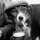 Adra Adra Discord server icon