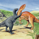 Dino Fight Club