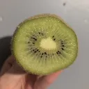🥝 Kiwi's Lounge 🥝