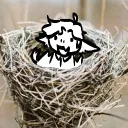 Crow's Nest