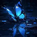 🦋☽•.ཐི༏ཋྀ*:･Chrysalis.･:* ཐི༏ཋྀ.•☾🦋