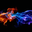 Loading Zone・🎁🎄