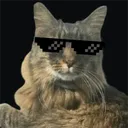 oscar's completely orginal discord