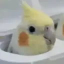 Server