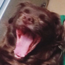 Sizelu icon