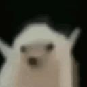 Server Icon