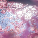 Liastt Discord server icon