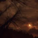 Parallel Lands