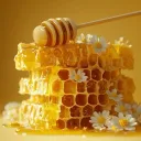 🍯 𝓗𝓸𝓷𝓮𝔂 𝓗𝓲𝓭𝓮𝓪𝔀𝓪𝔂 🏹
