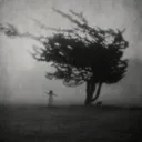 /////////